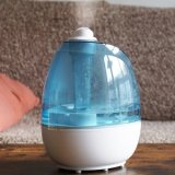 The Best Water for Your Humidifier: The Humidity Hack