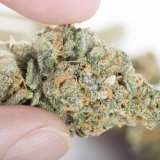 The Best Cannabis Strains for Headache Relief