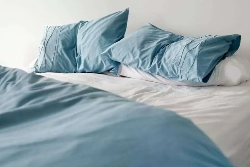 The Pros and Cons of Plastic Coverings for Bed Protection The Pros and Cons of Plastic Coverings for Bed Protection